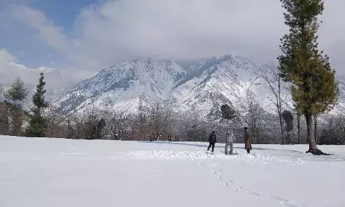 Snow Cricket in Kashmir