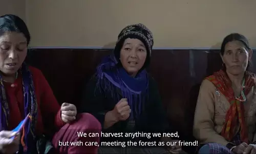 Whose Forests Are These?