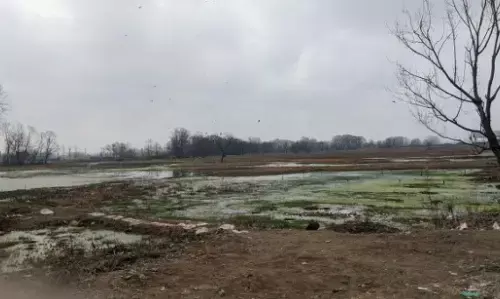 ‘They Have Made a Mafia Out of the Waste They Dump Here’