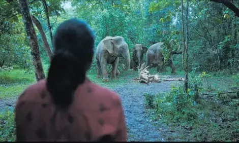 Poacher – An Enriching Series