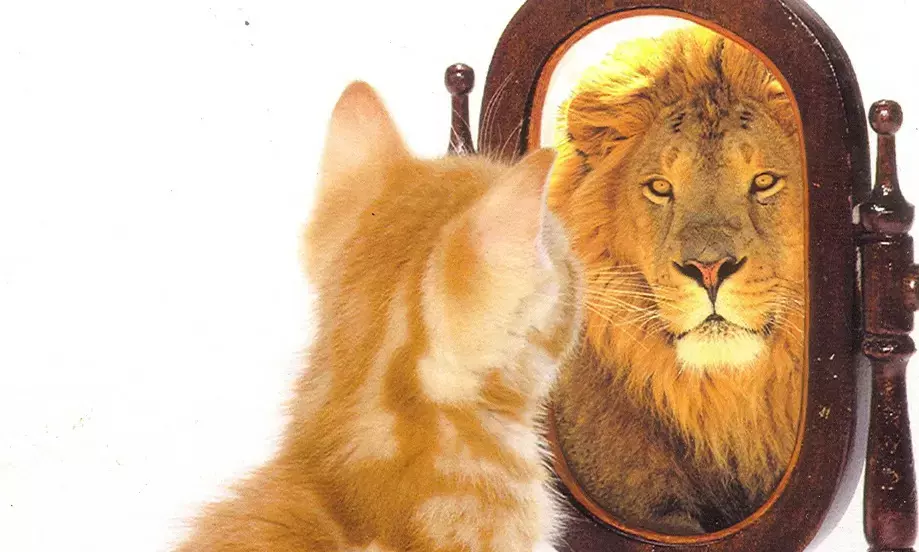 Polls 2024 -The Perception And The Fact Polls 2024 -The Perception And The Fact