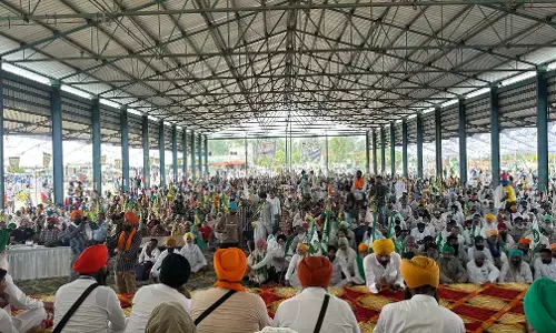 Farmers Harden Stand Ahead Of Polls