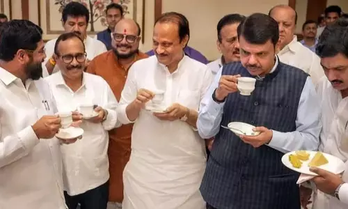 Maharashtra - Allies Seen As A Liability For BJP