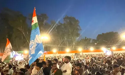 Poll Fever Rises In Delhi