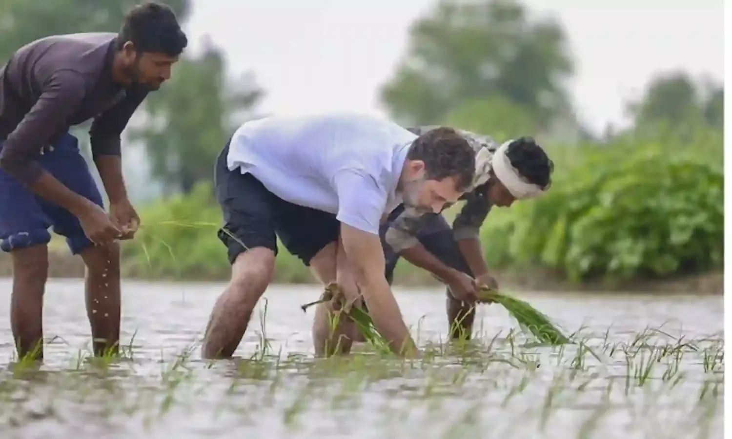 Haryana - Odds Stacked Against BJP, INLD