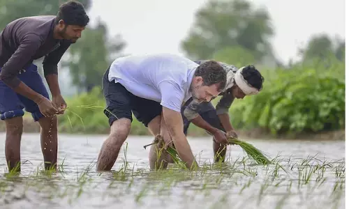 Haryana - Odds Stacked Against BJP, INLD