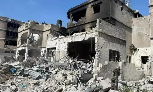 Basking in the Cold Light of One of the Killers of the World