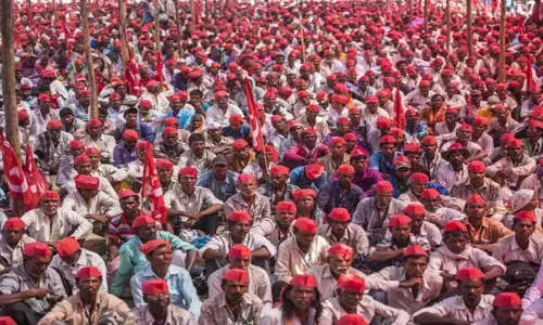 Government Outreach Fails to Enthuse Farmers