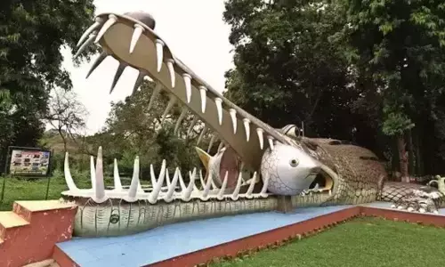 SOS From Kukrail Reserve Forest