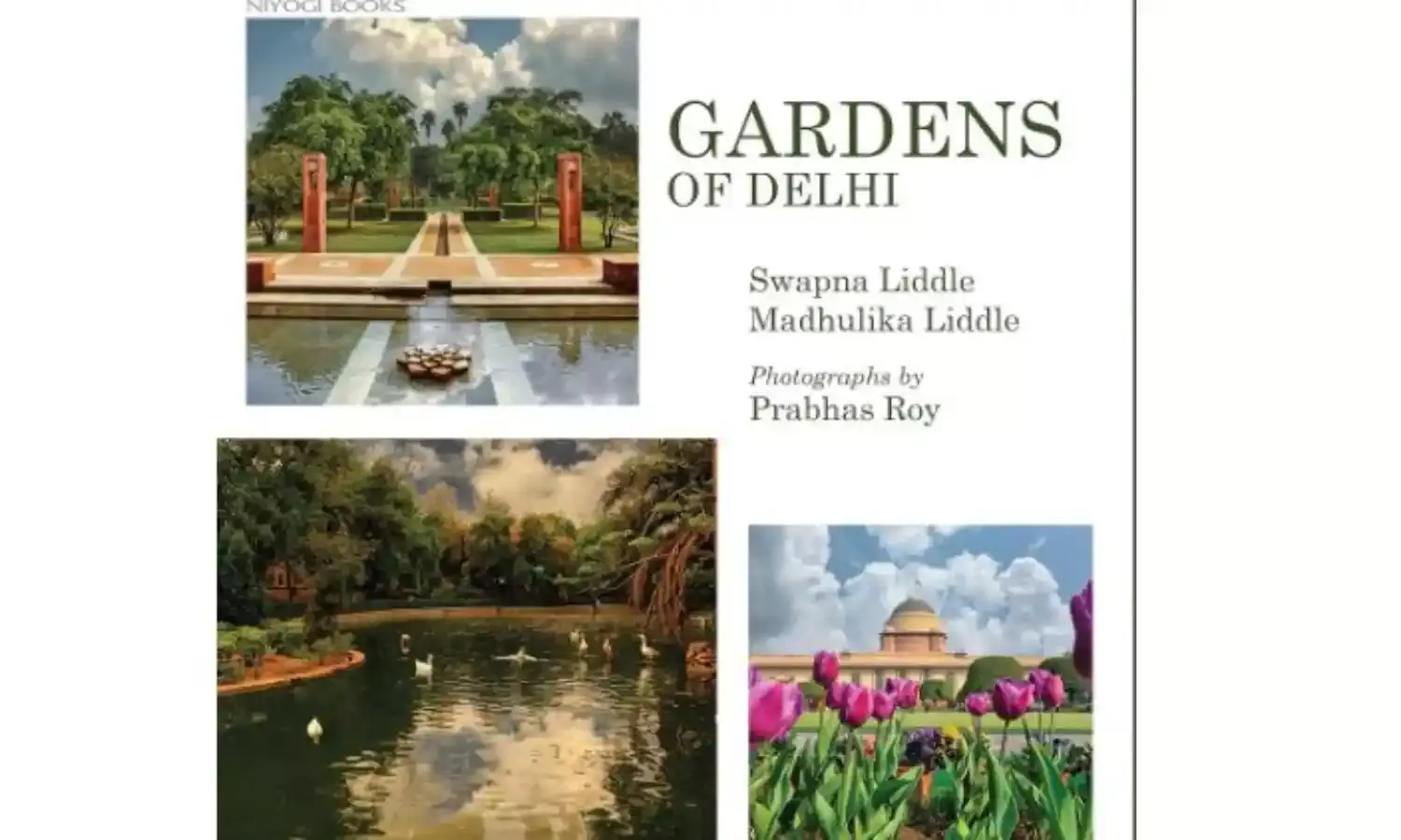 The Lush Landscape Of Delhi