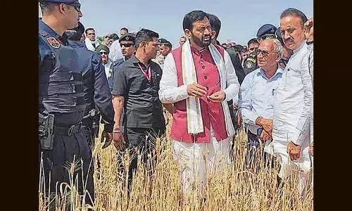 BJP Desperate To Woo Haryana’s Farmers