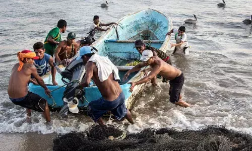 Indian FishWorkers Endless Struggle