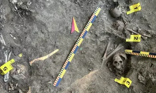 A Bizarre Political Thesis By The Indian Media