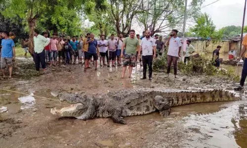 Vadodara Floods Are A Man-made Disaster