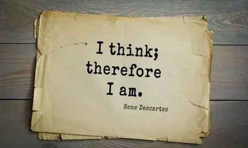 2024 Toxicity Casts Shadows Over The New Year