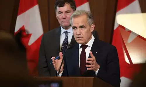 Olive Branches All Around