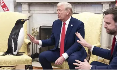 Trumpian Firman- Go Deal With It