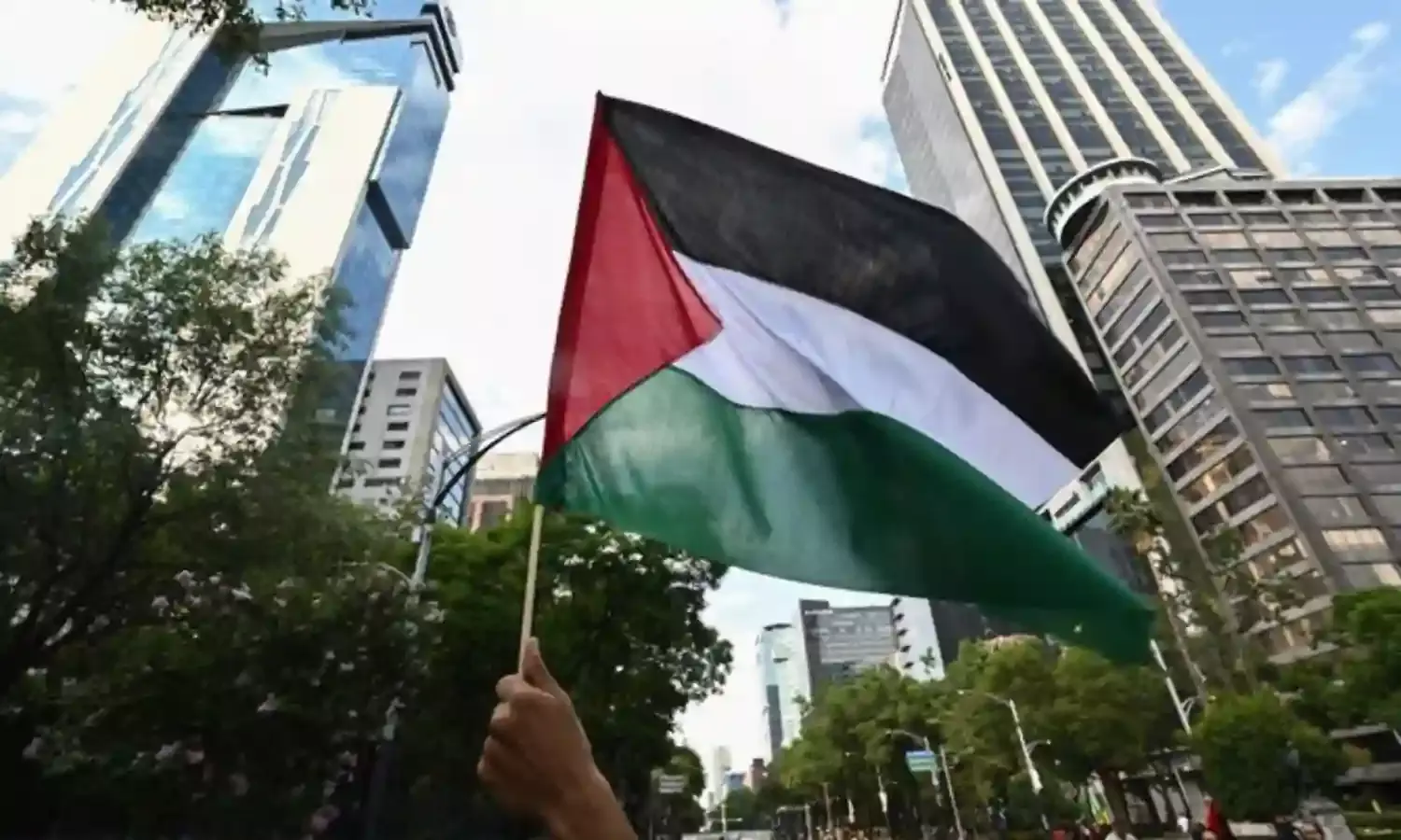 The World Rallies Around A Palestinian State