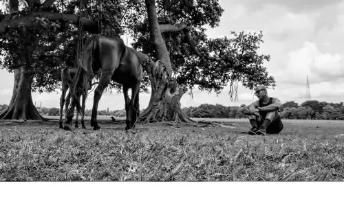 Fat Or The Reluctant Butcher