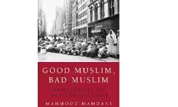 Good Muslim, Bad Muslim