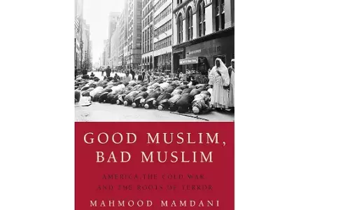 Good Muslim, Bad Muslim