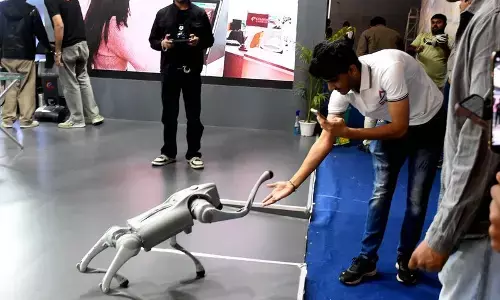 When Propaganda And Natural Stupidity Reign Supreme