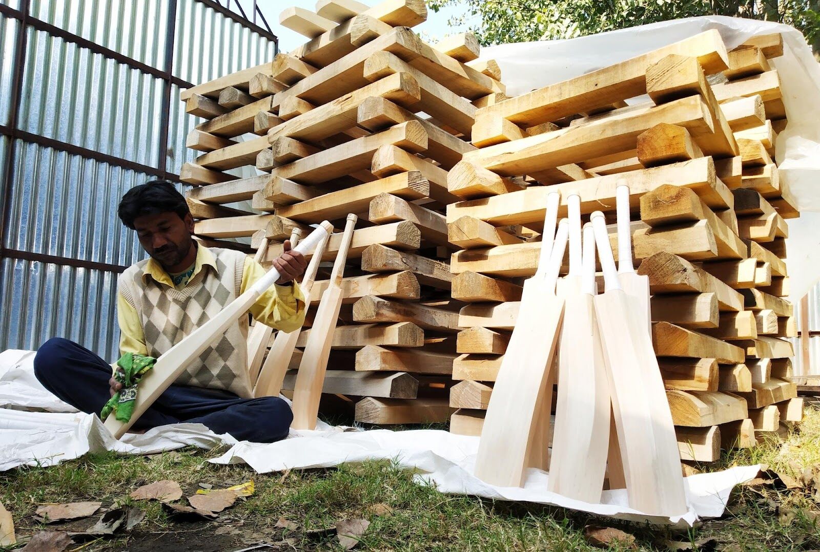 Kashmir Willow Bat Makes First Appearance in T20 World Cup