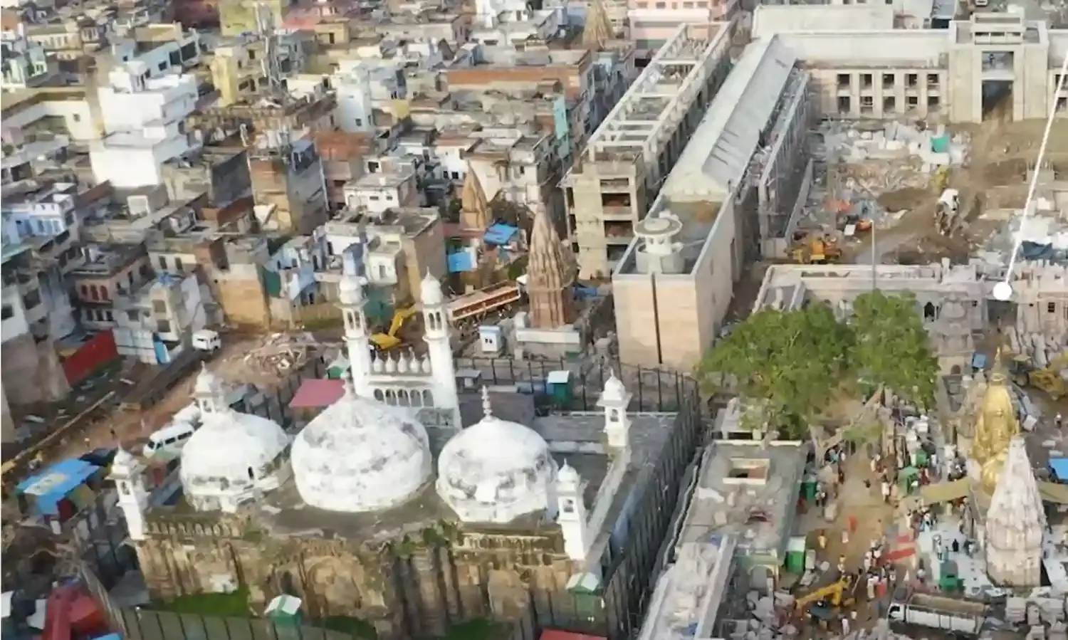 The Opium of the Masses