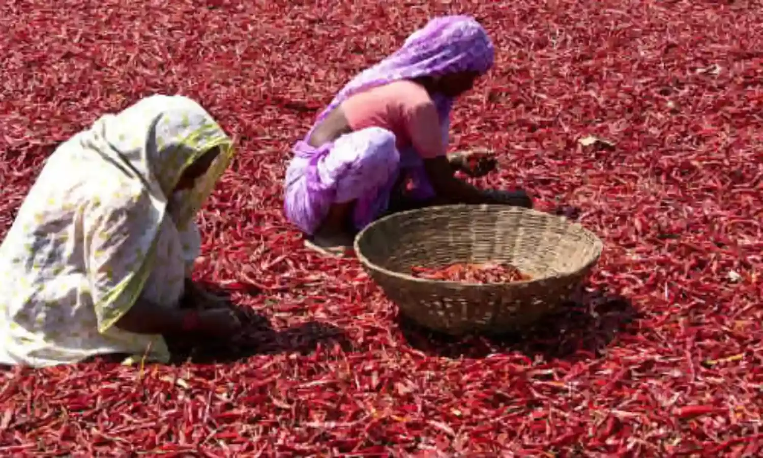 20 Farmers Die by Suicide in Telangana But Who Cares?