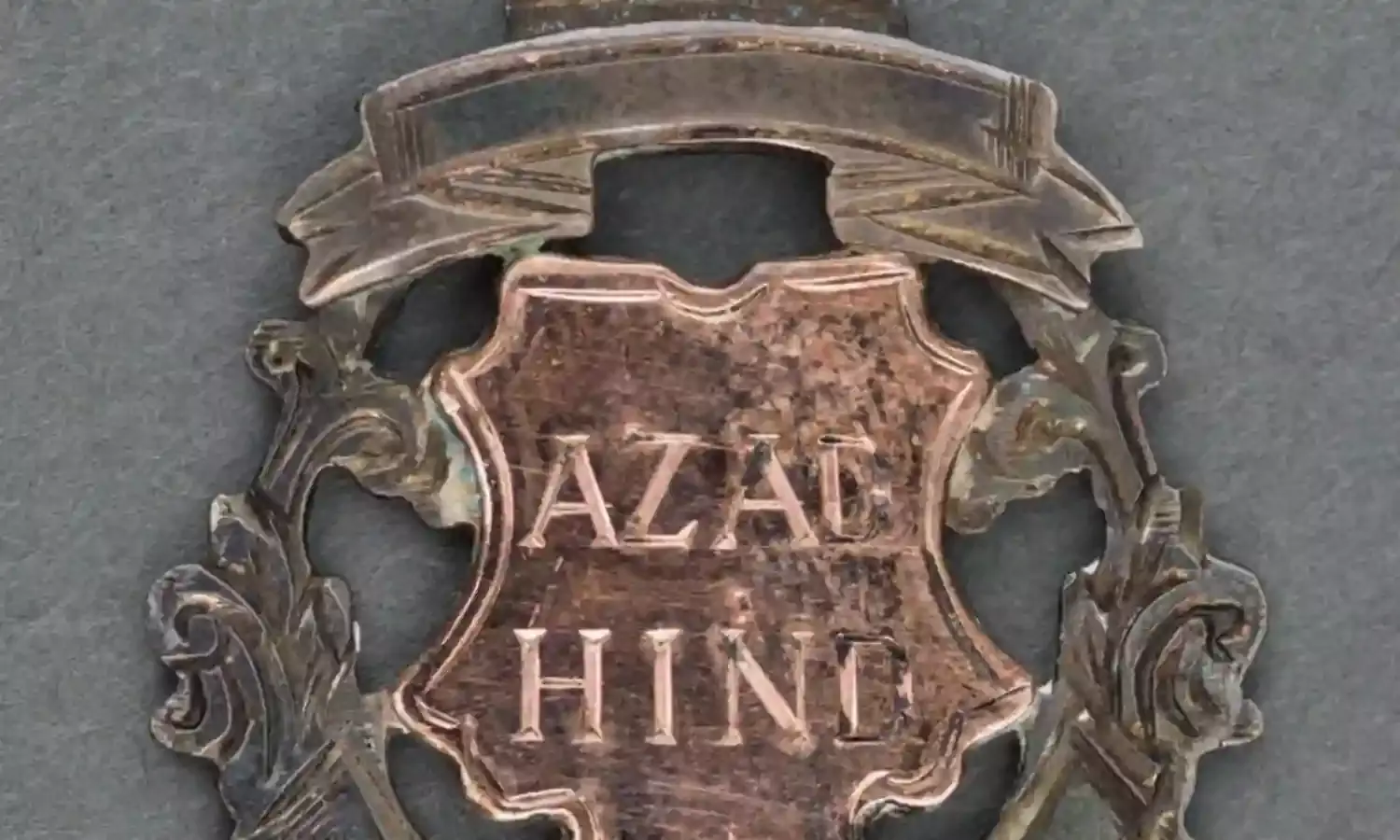 Netaji and the Holographic Government Netaji and the Holographic Government