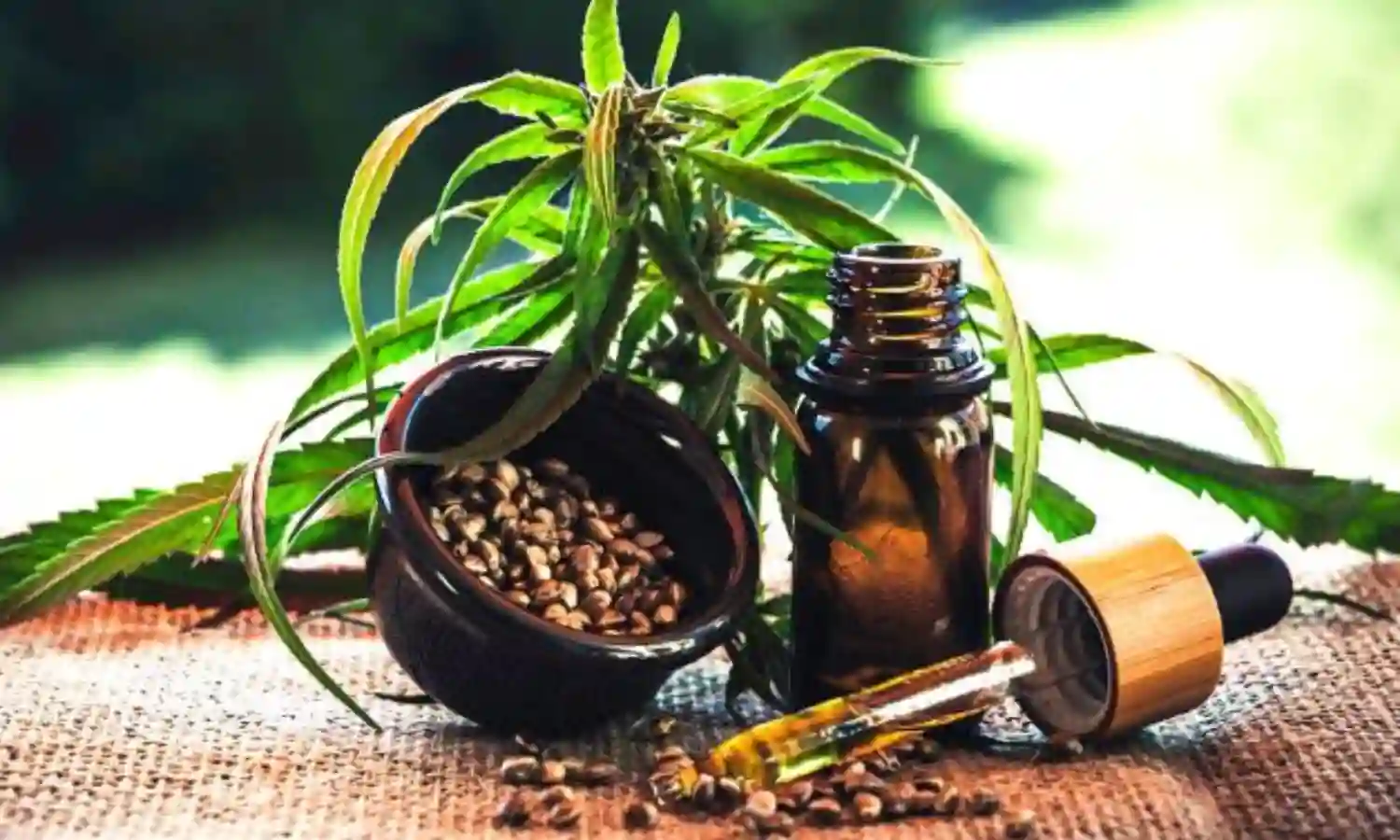 Dollar-starved Sri Lanka Seeks Relief Through Cannabis Export Dollar-starved Sri Lanka Seeks Relief Through Cannabis Export