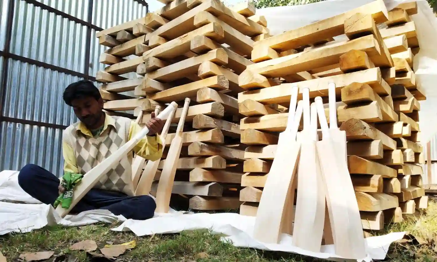 Kashmir Willow Bat Makes First Appearance in T20 World Cup