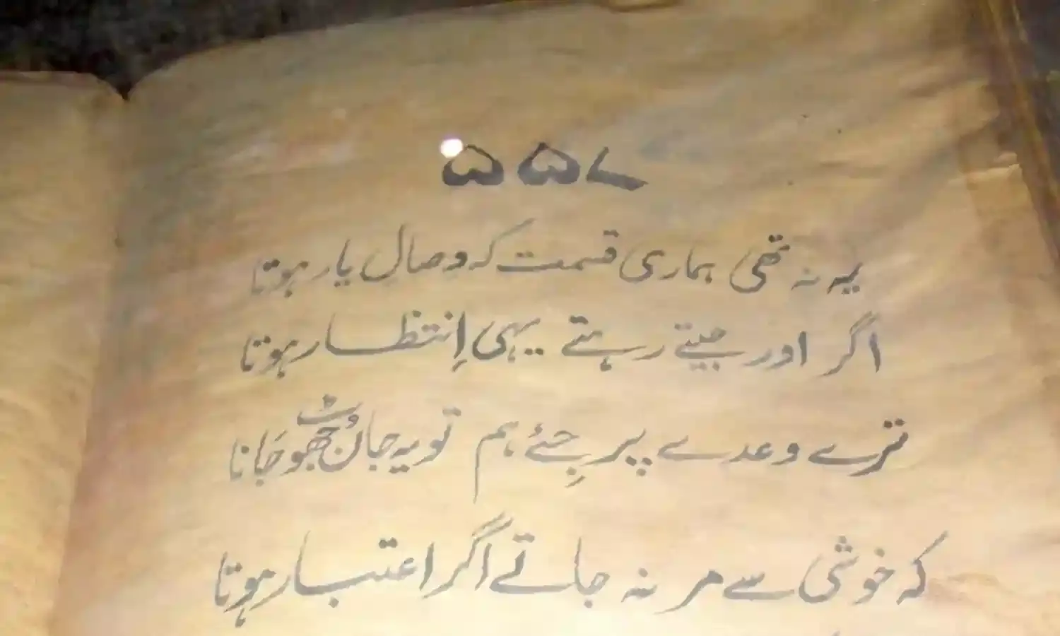 ‘I Have Searched For and Found the Answers to Most of my Problems in Books’ ‘I Have Searched For and Found the Answers to Most of my Problems in Books’