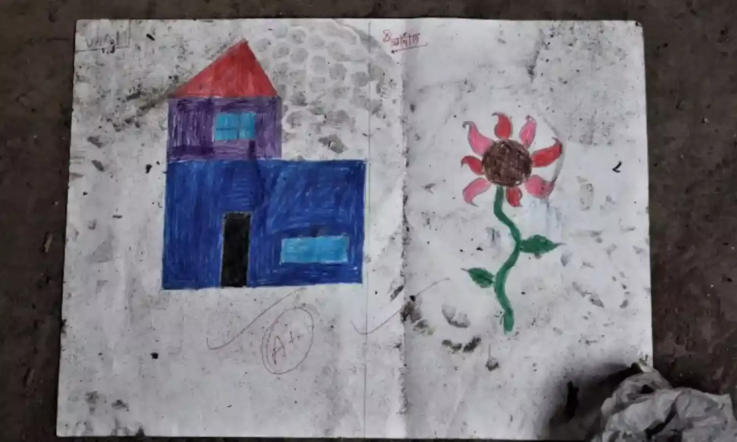 Willing to Study but Made to Struggle, say Delhi School Students