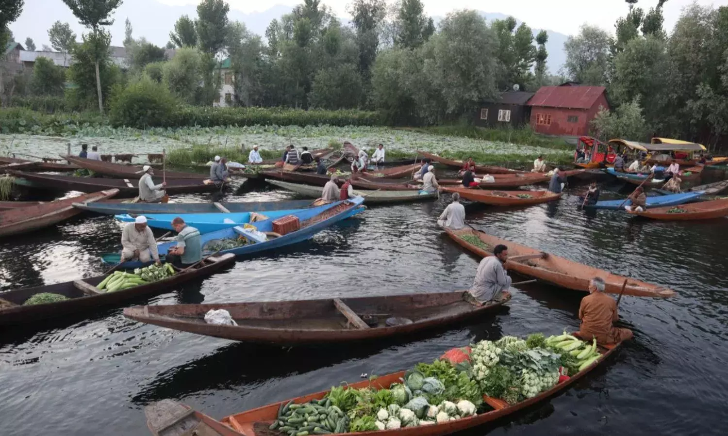 You Can’t Take Kashmir Out of a Kashmiri