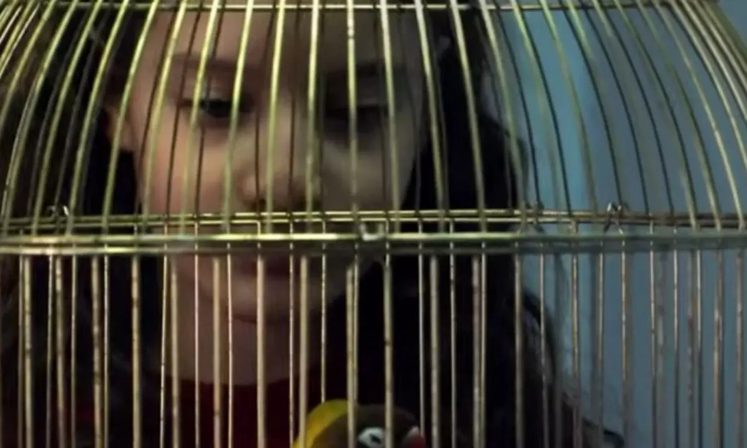 The Present in Palestine