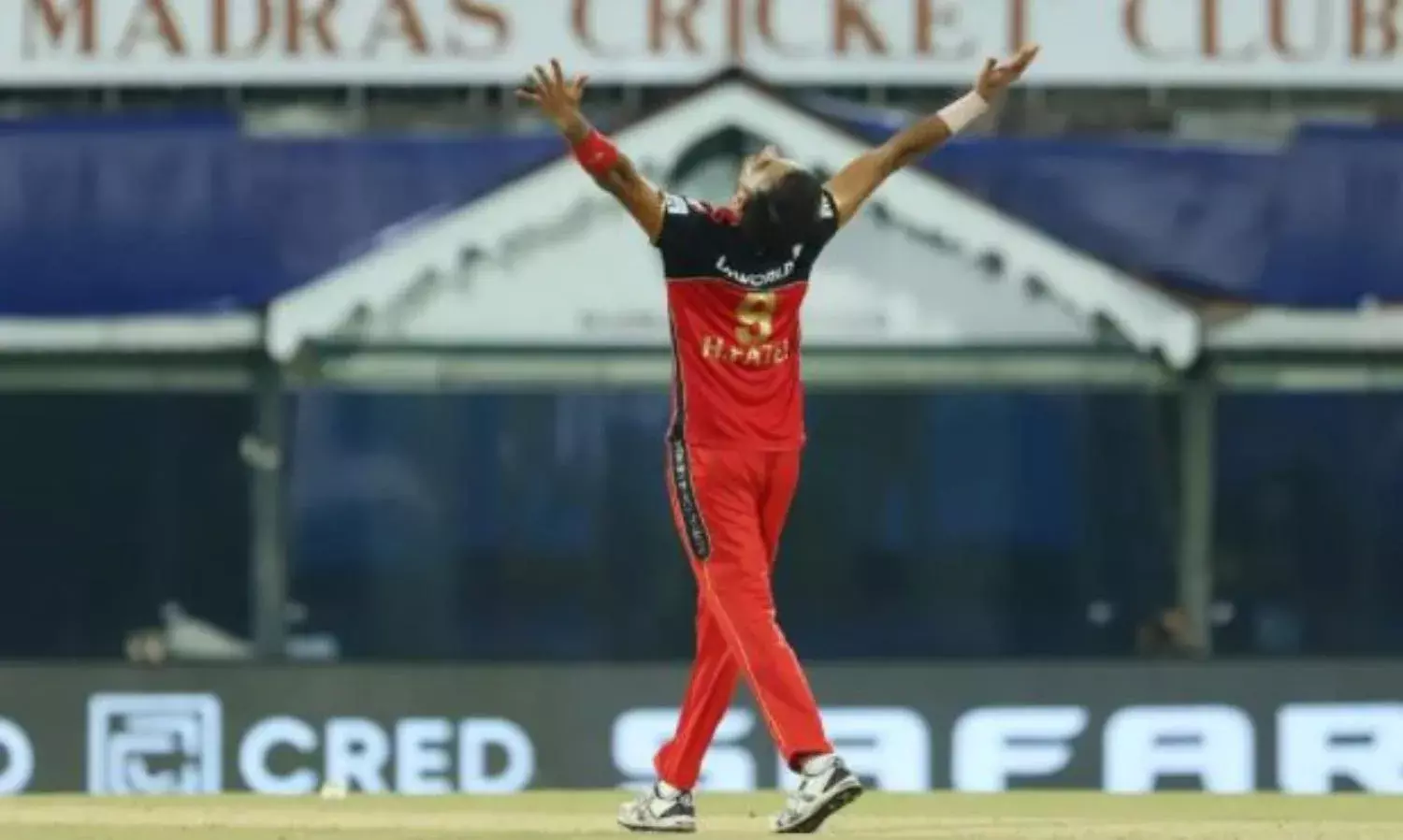 The Eerie IPL Hustle