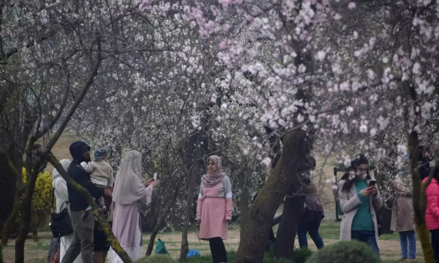 The Two Faces of Kashmir - In Photos