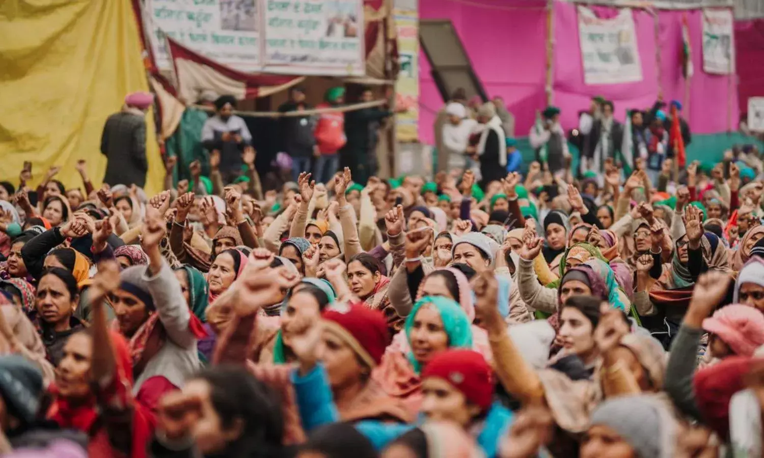 Milords, Have You Not Erred?