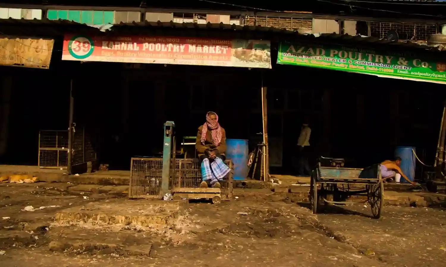 In Photos: Delhis Murga Mandi Closed Over Bird Flu