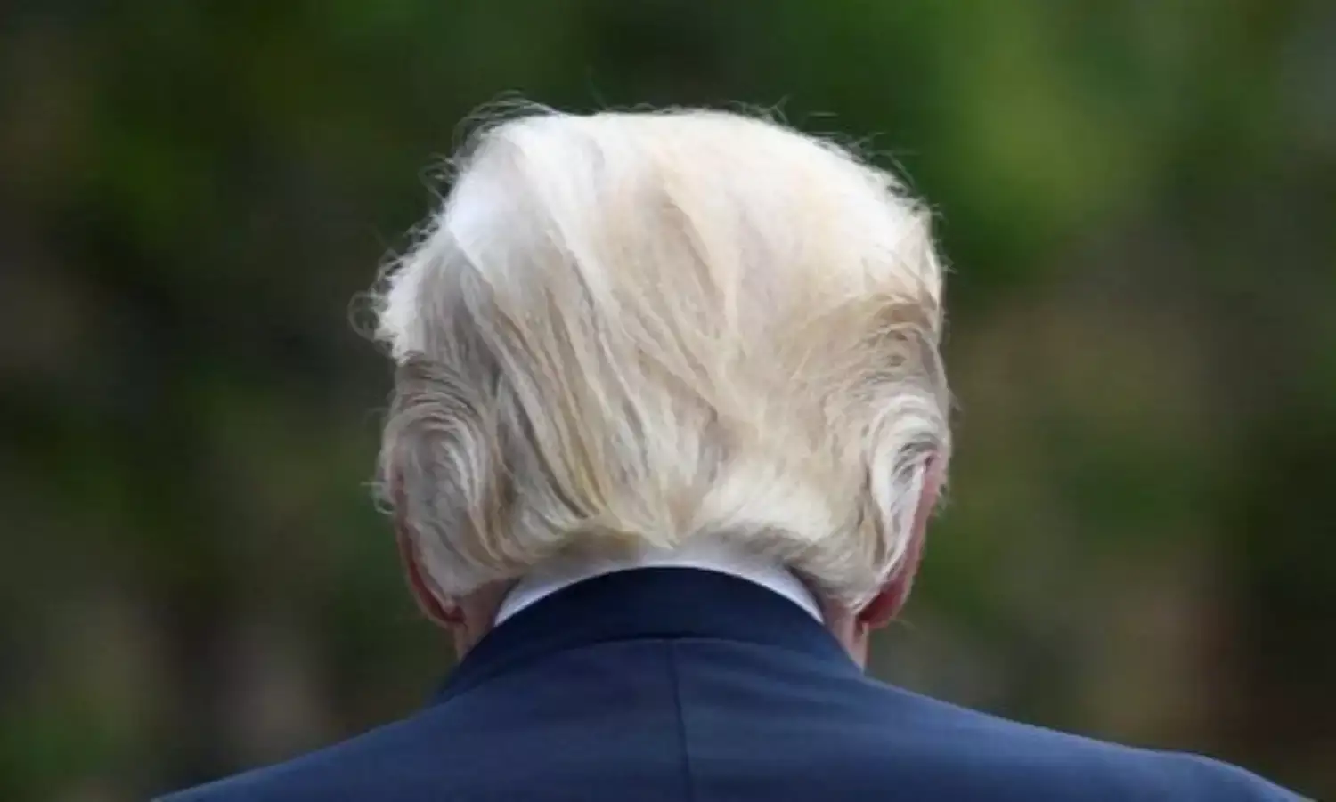 How Did Trump Even Get This Far? How Did Trump Even Get This Far?