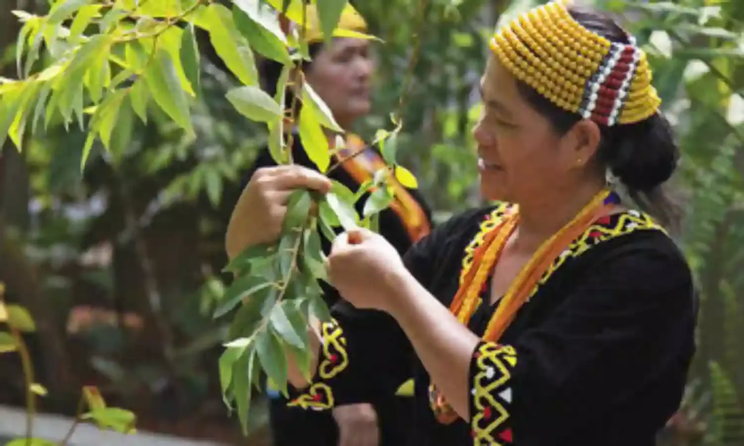 Covid-19 Pandemic Threatens Indigenous Communities