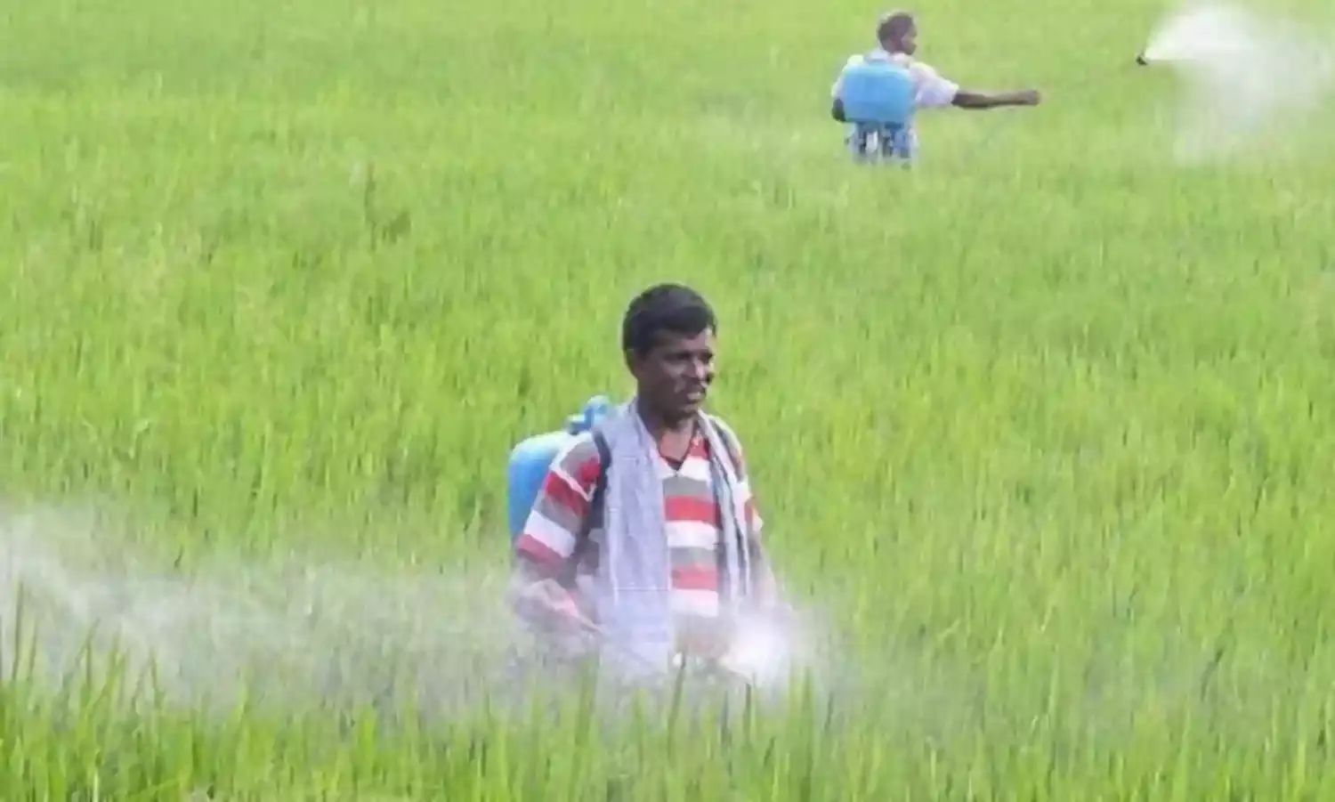 ‘Pro-Pesticide’ Advertorial “Disgraceful” and “Slanderous”