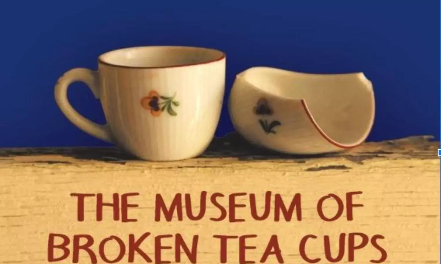 The Museum of Broken Tea Cups - Postcards From India’s Margins