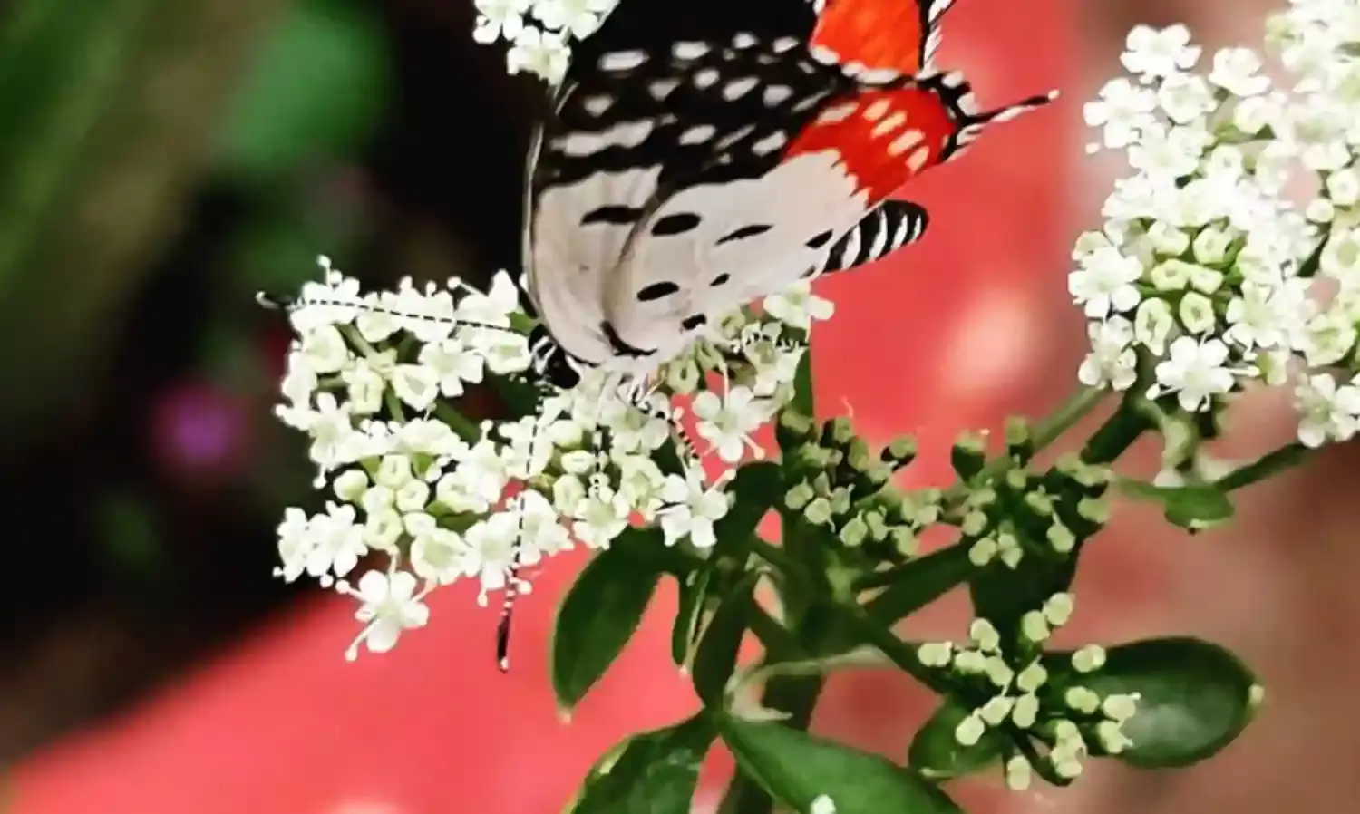 The Mind Is A Power House