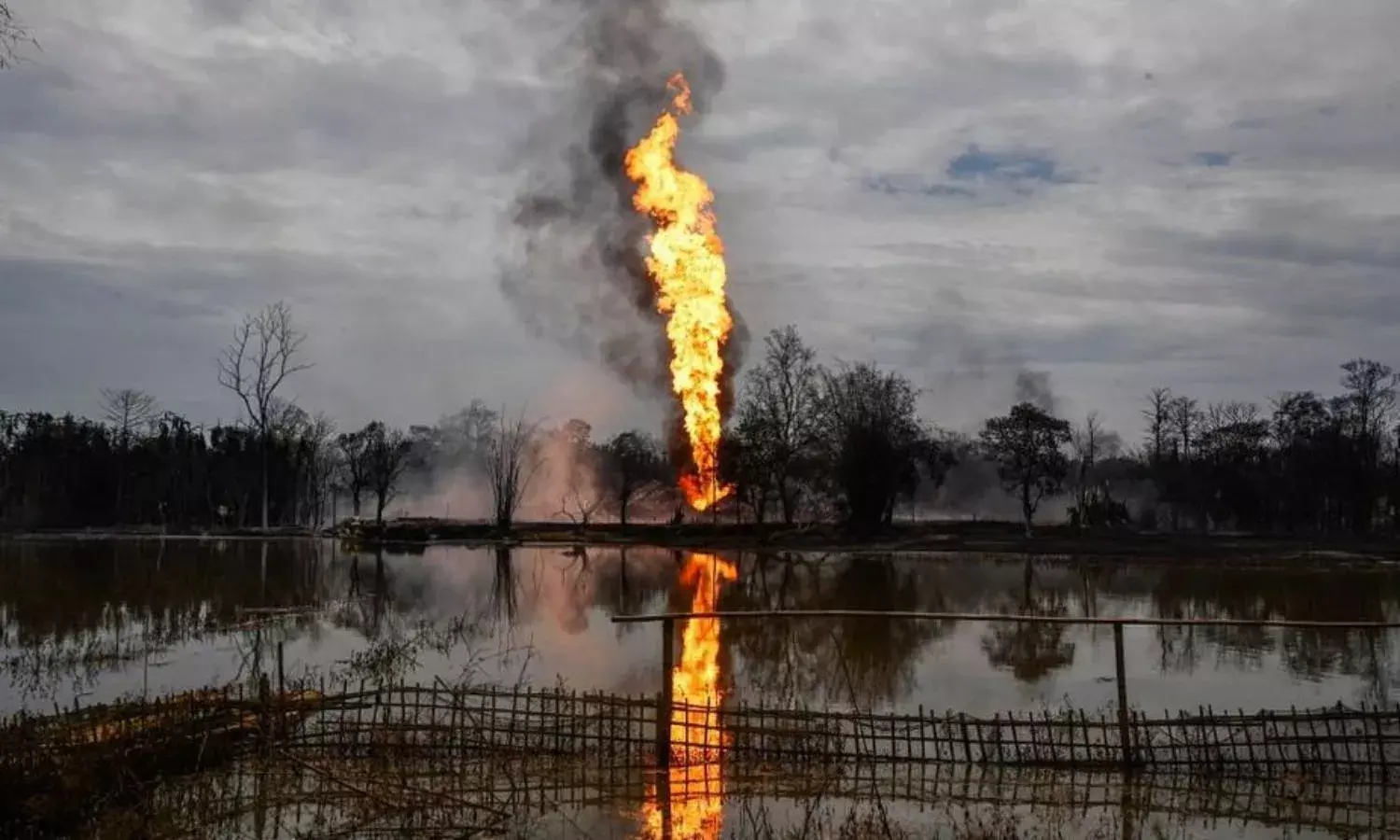 The Climate v Industrialists: Cyclones, Locusts and Covid are Only the Beginning The Climate v Industrialists: Cyclones, Locusts and Covid are Only the Beginning