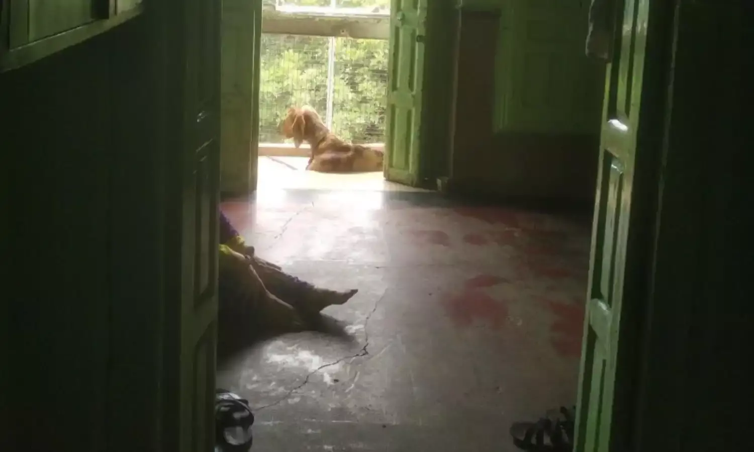 This Lockdown Is A Curse: Sex Workers In Delhis Red Light District Ask For Help