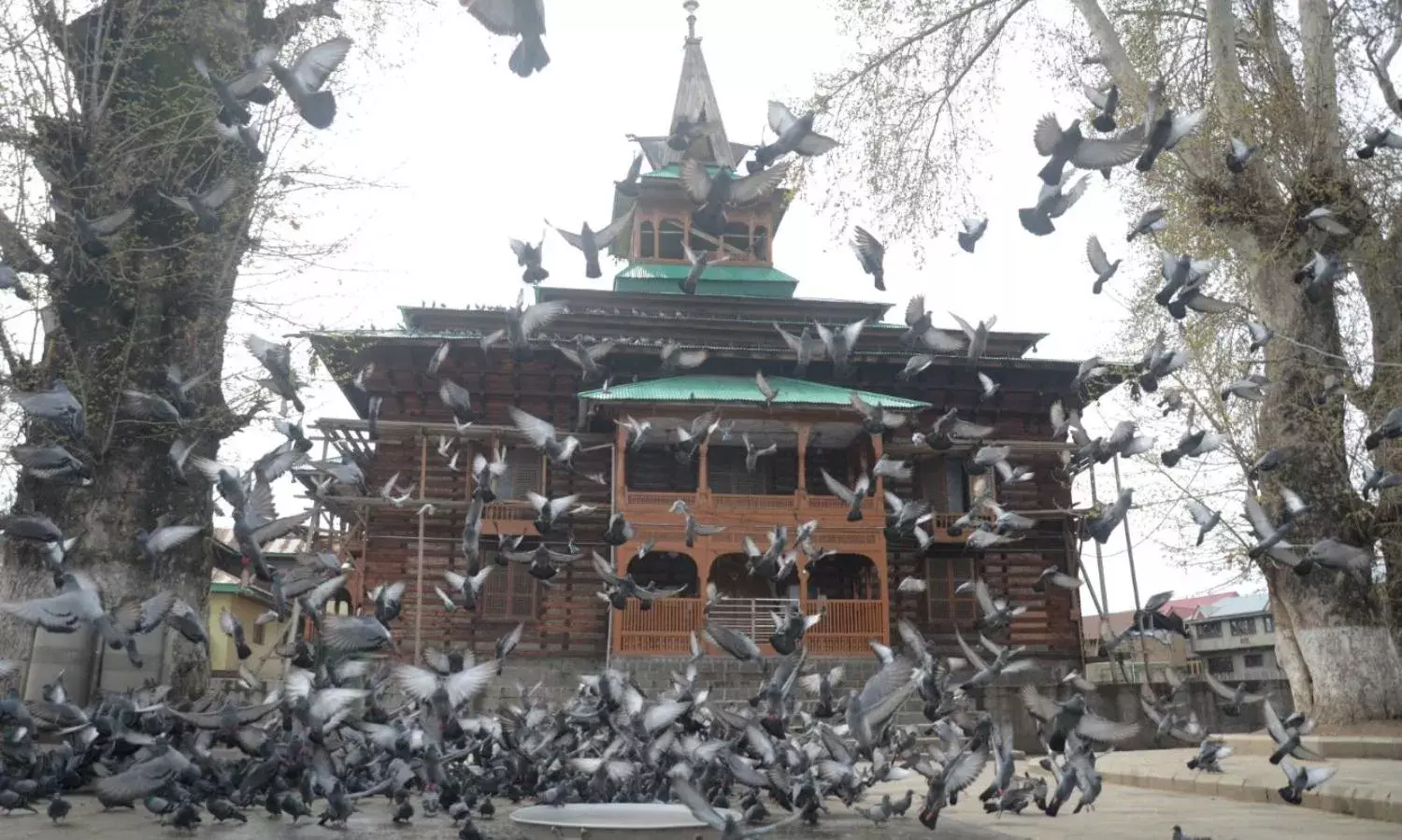 This Virus Demonstrates the Fragility of a Human Dominated Planet This Virus Demonstrates the Fragility of a Human Dominated Planet