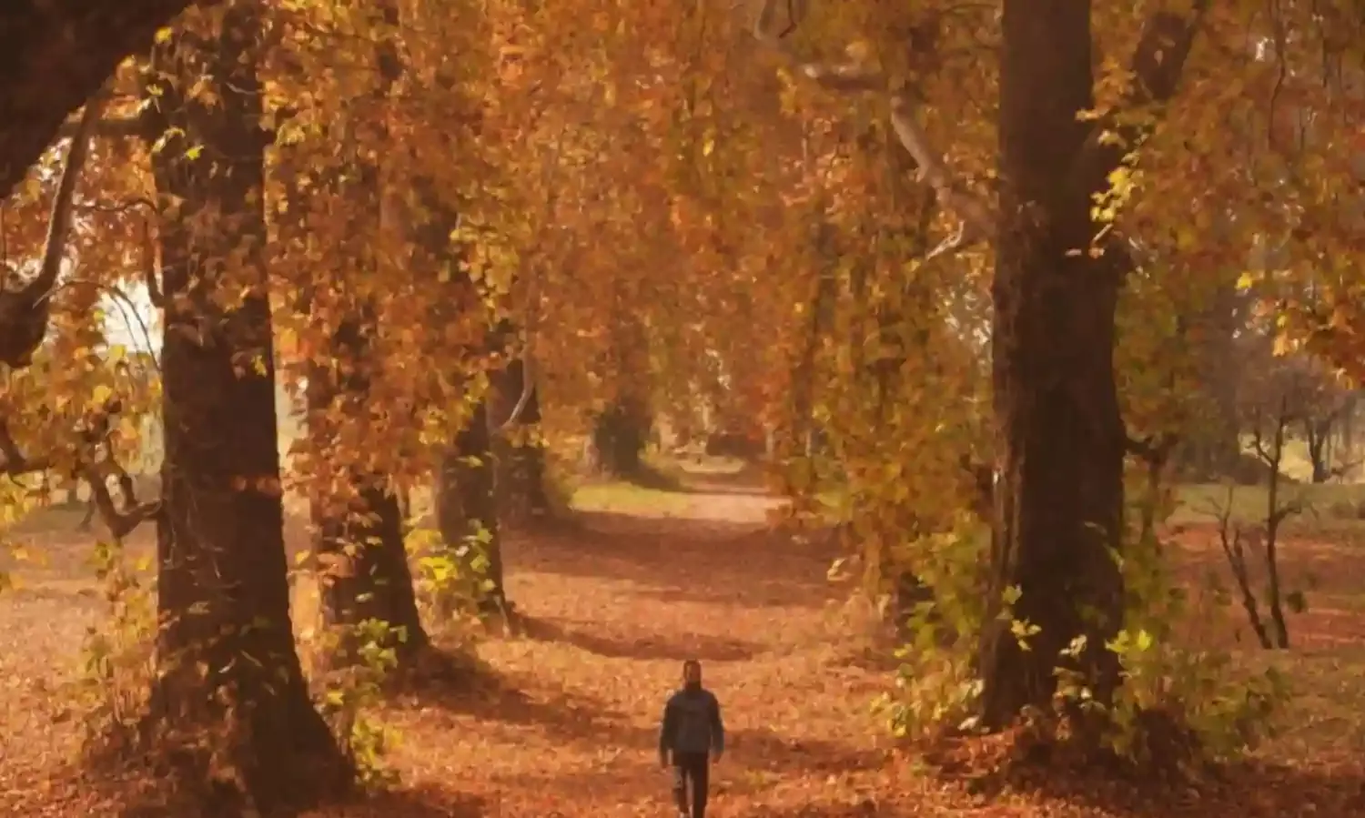 Shahid Alis Poetry: Home Between the Worlds Shahid Alis Poetry: Home Between the Worlds