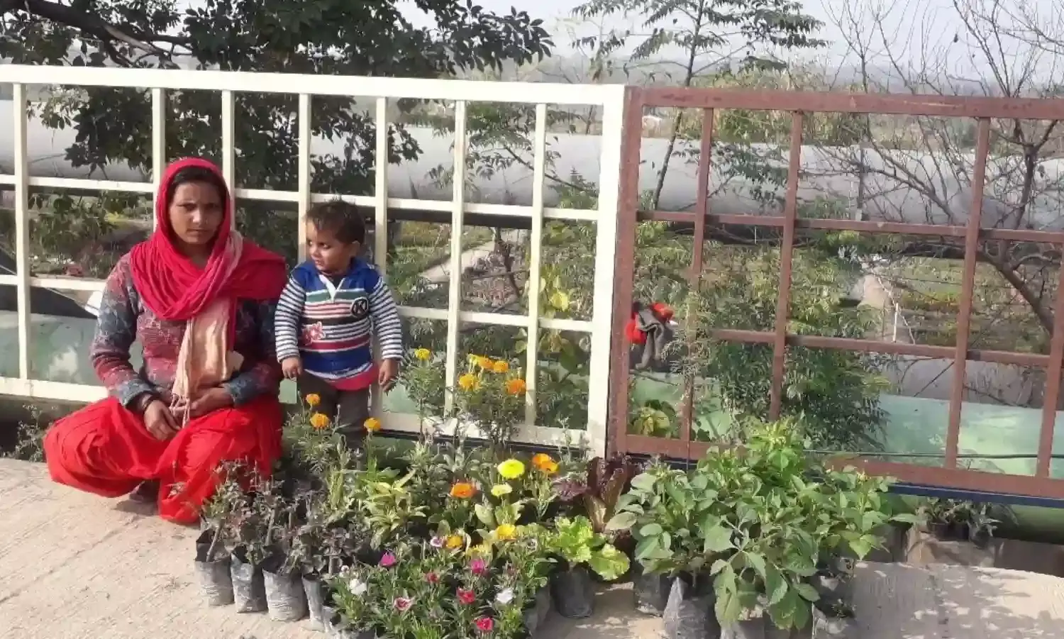 Delhi Elections: Another Promise to Clean the Yamuna Leaves Gyaspur Residents Sceptical